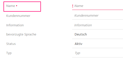 Bearbeitungsansicht eines Firmen-Datensatzes in ADITO xRM mit hervorgehobenem Pflichtfeld "Name" zur Eingabe des Firmennamens